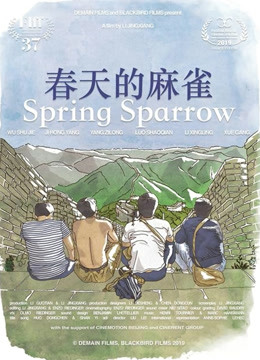 春天的麻雀封面图