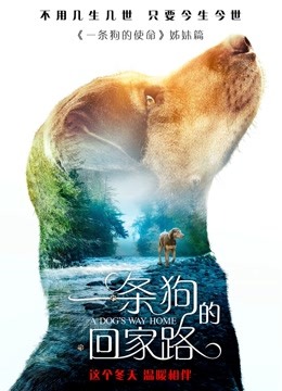 一条狗的回家路普通话版封面图