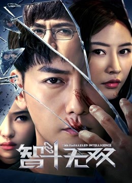 智斗无双封面图