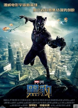 黑豹普通话版封面图