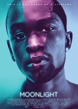 蓝色月光封面图