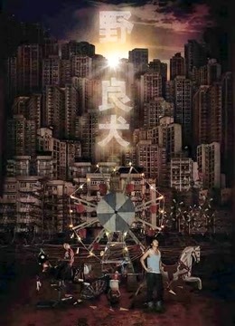 野良犬粤语版封面图