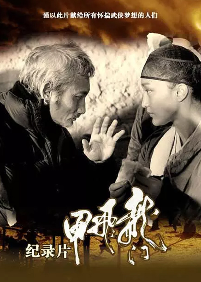 龙门飞甲纪录片封面图
