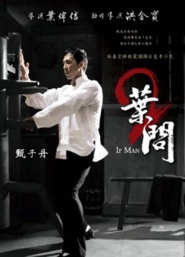 叶问2宗师传奇封面图