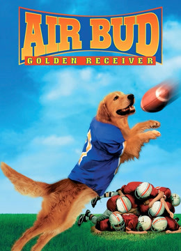 飞狗巴迪2金牌接球员封面图