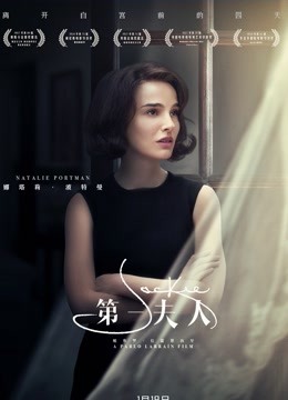 第一夫人普通话版封面图