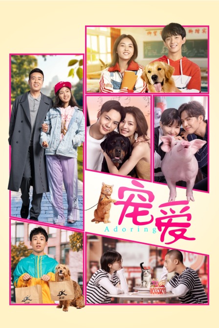 宠爱封面图