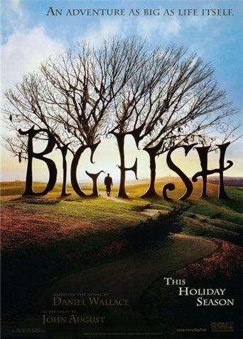 大智若愚封面图