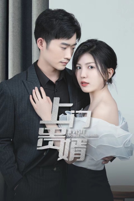 上门贵婿封面图