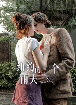 纽约的一个雨天普通话版封面图