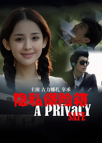 隐私保险箱封面图