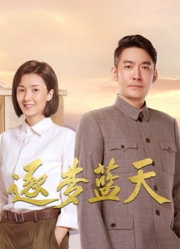 逐梦蓝天封面图