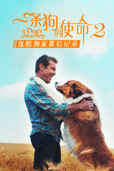 一条狗的使命2优酷独家幕后记录封面图