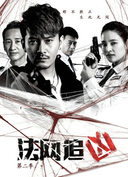 法网追凶第二季封面图