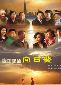 葵花进城封面图