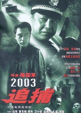 追捕2003版封面图