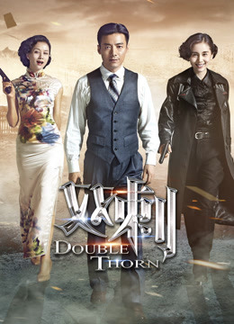 双刺D第五季D版封面图