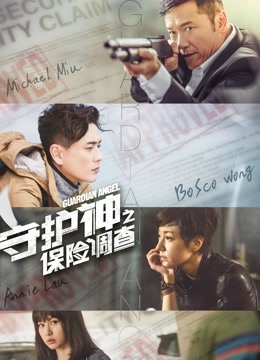 守护神之保险调查粤语版封面图