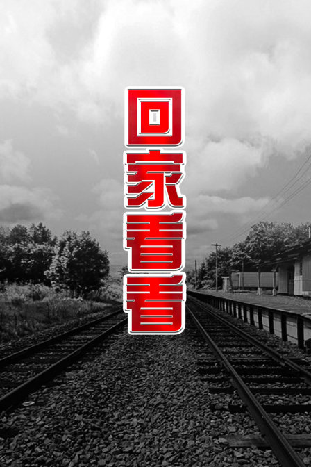 回家看看封面图