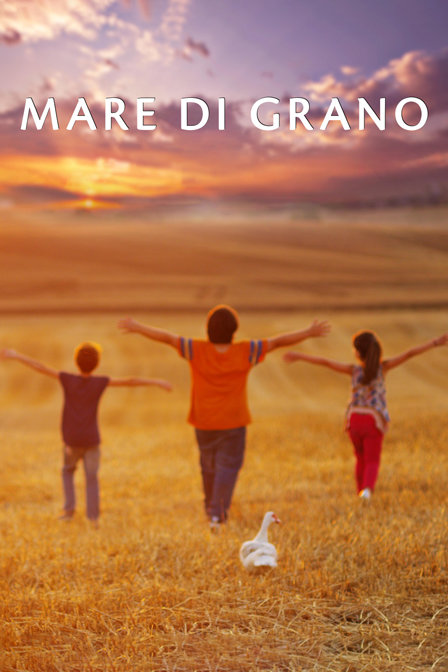 托斯塔纳天堂封面图