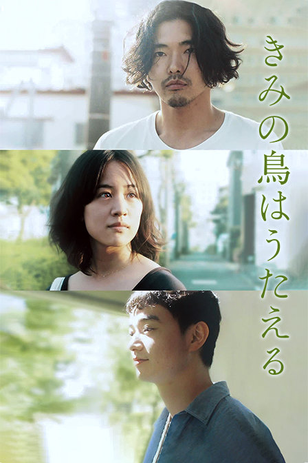 你的鸟儿会唱歌封面图