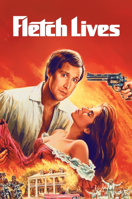 佛莱契历险记封面图