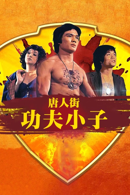 唐人街功夫小子封面图