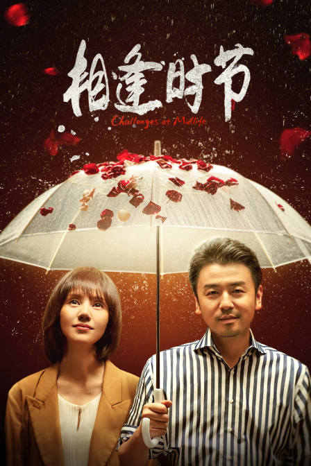 相逢时节封面图