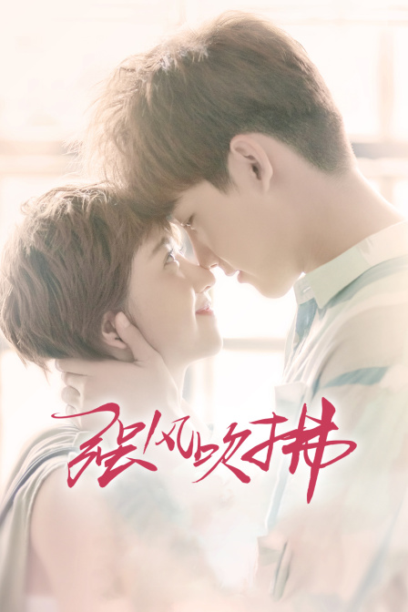 强风吹拂封面图