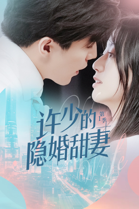 许少的隐婚甜妻封面图