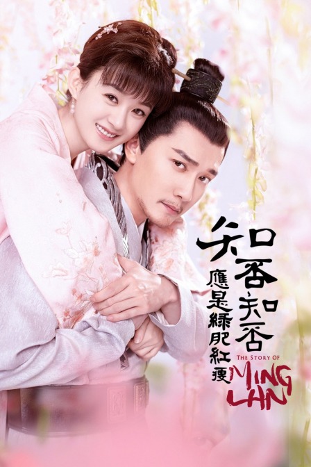 知否知否应是绿肥红瘦T第五季版封面图