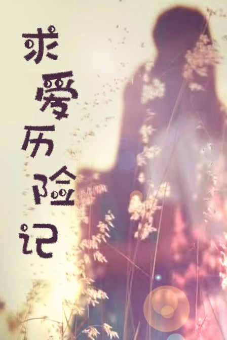 求爱历险记封面图