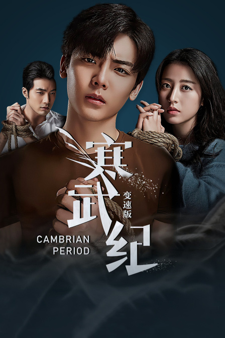 寒武纪变速版封面图