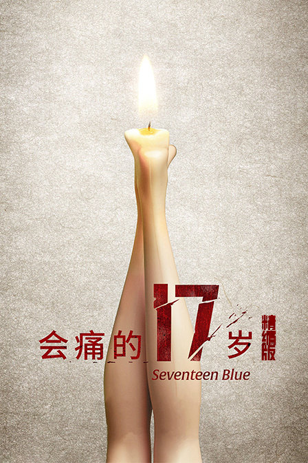 会痛的17岁精编版封面图