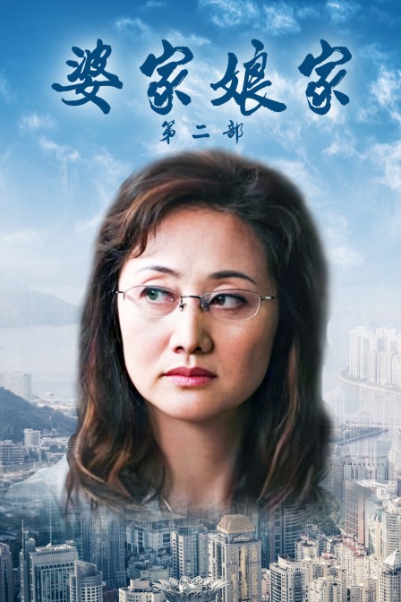 婆家娘家第二部封面图