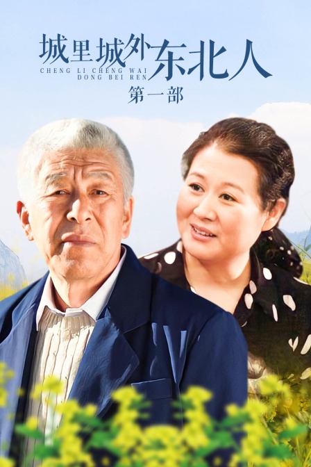 城里城外东北人第一部封面图