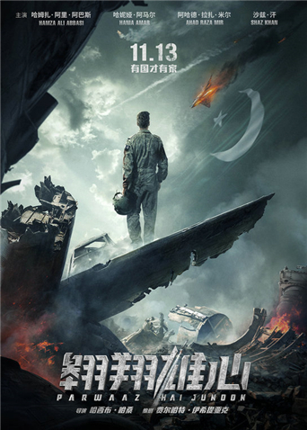 翱翔雄心封面图