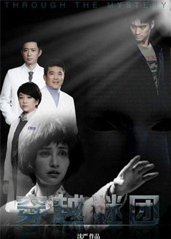 穿越谜团封面图