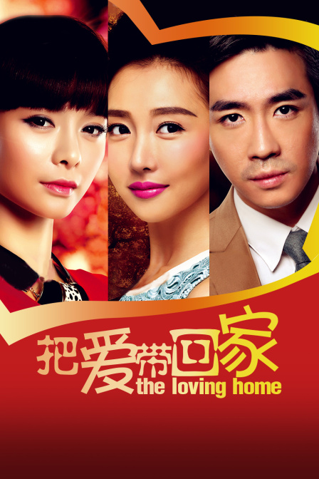 把爱带回家T第五季版封面图