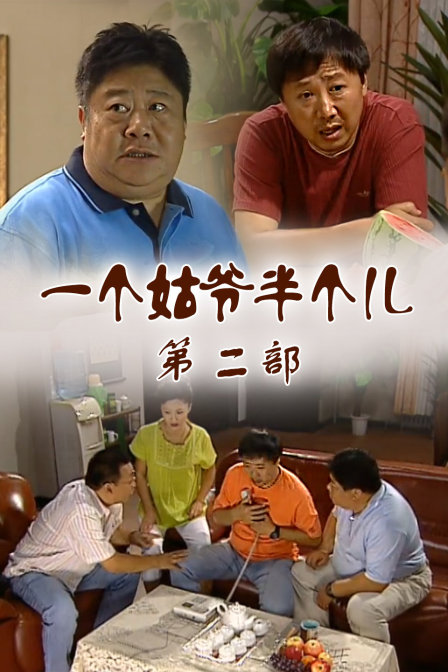 一个姑爷半个儿第二部封面图