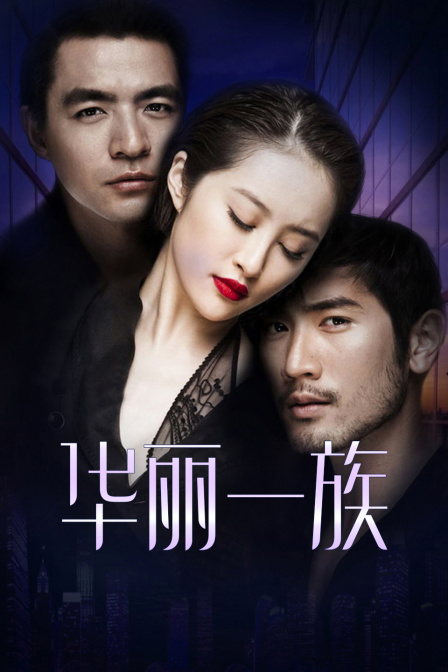 华丽一族D第五季D版封面图
