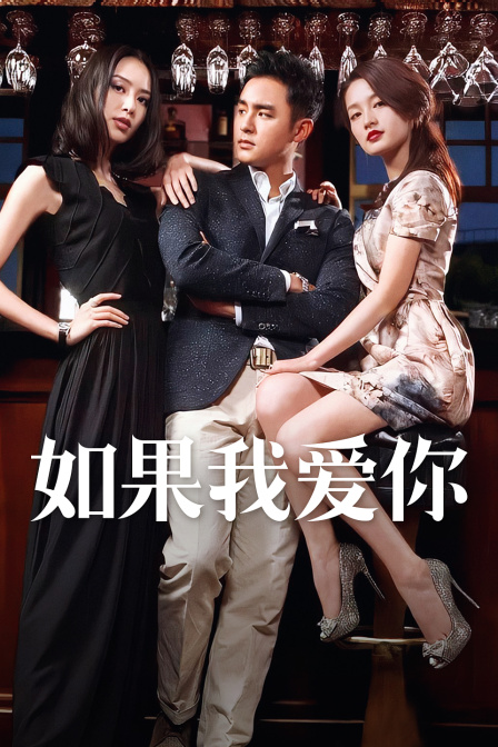 如果我爱你D第五季D版封面图