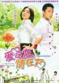 爱在左情在右封面图