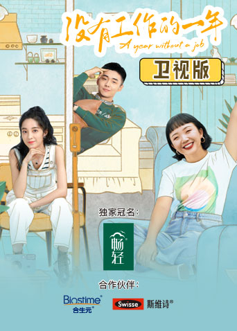 没有工作的一年卫视版封面图
