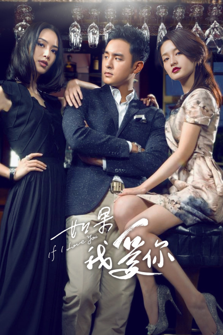 如果我爱你T第五季版封面图