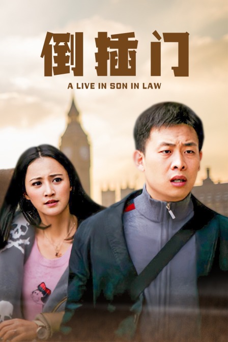 倒插门封面图