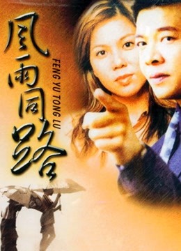 风雨同路1994封面图