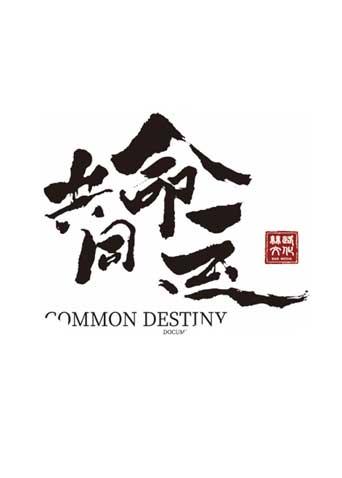 共同命运封面图