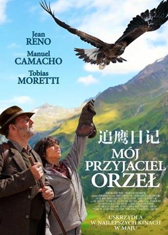 追鹰日记封面图