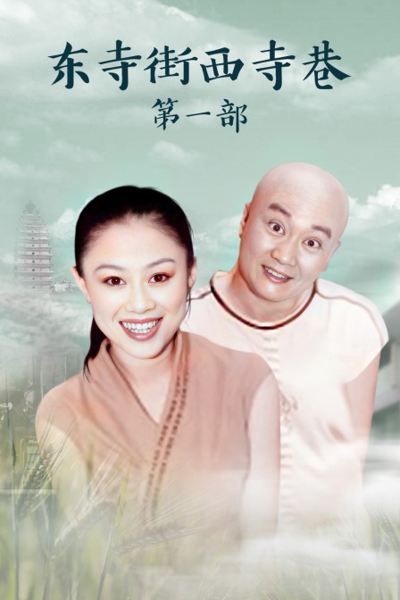 东寺街西寺巷第一部封面图